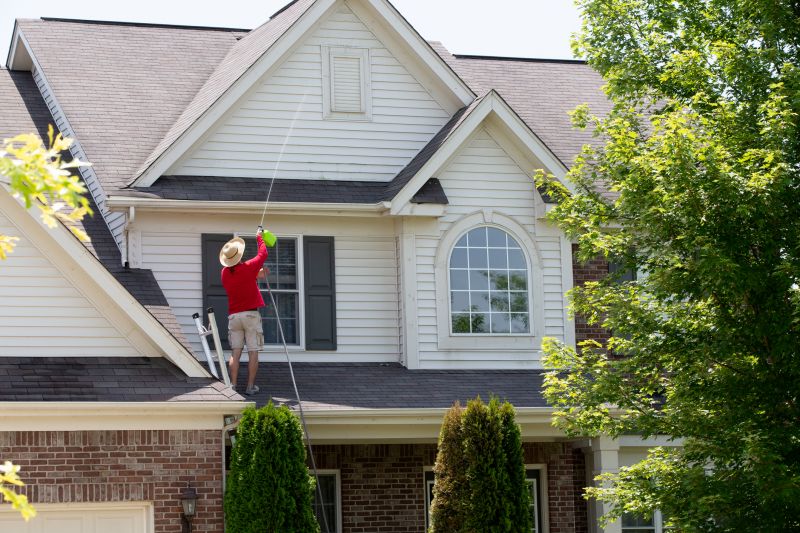 Exterior Paint Removal